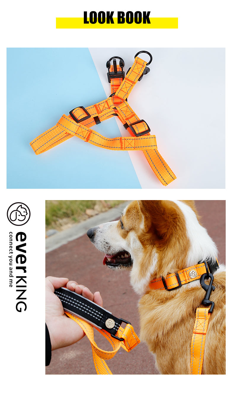 matching harness and leash06.jpg